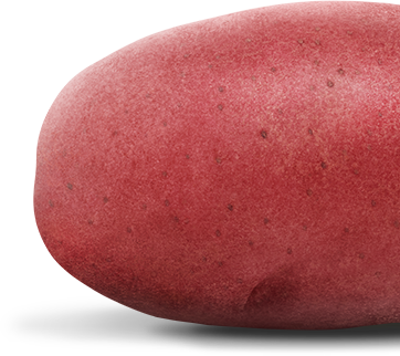 A red potato