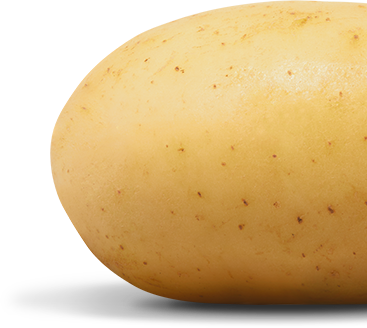 A red potato